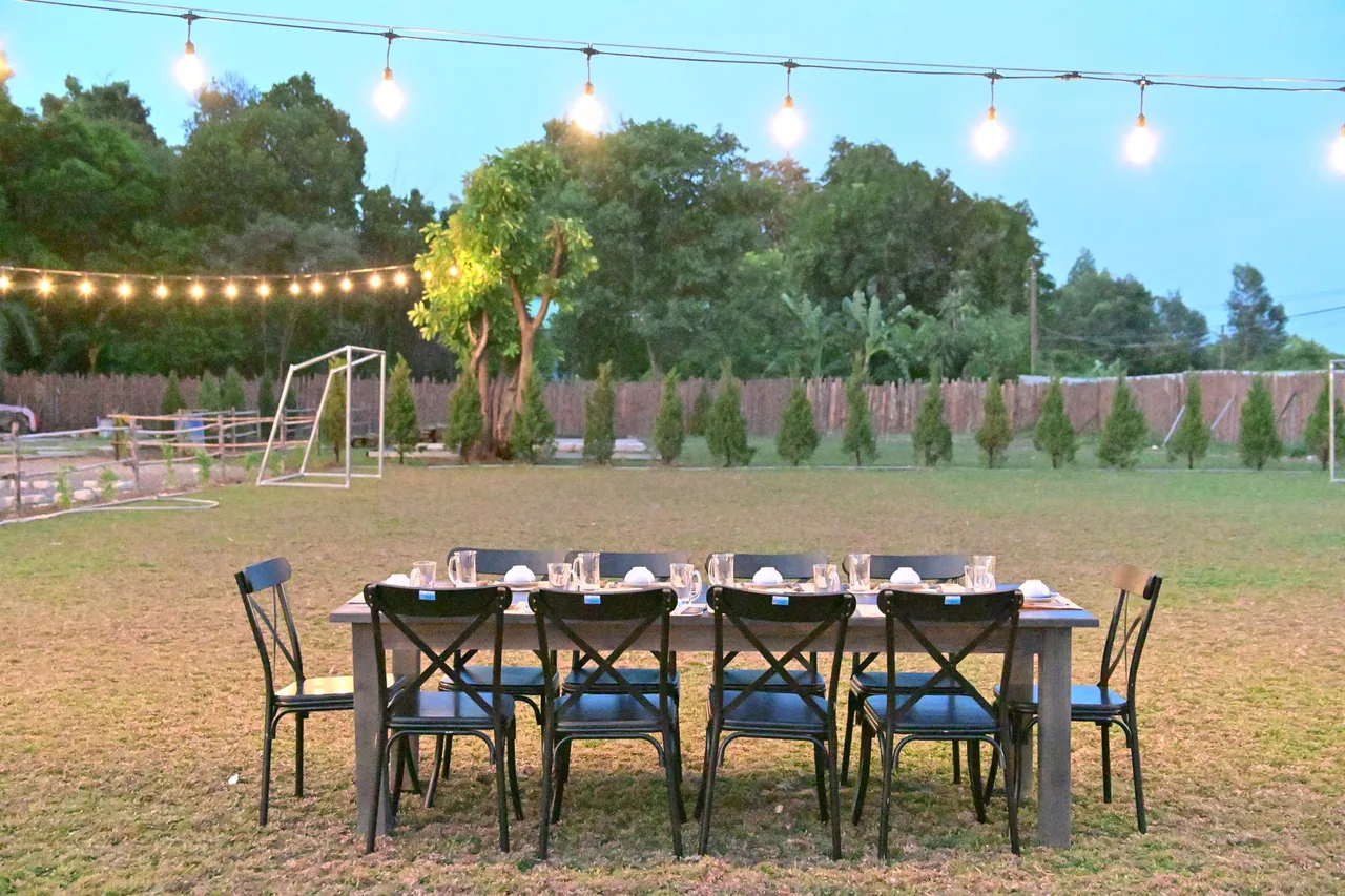 A backyard dining table set under string lights